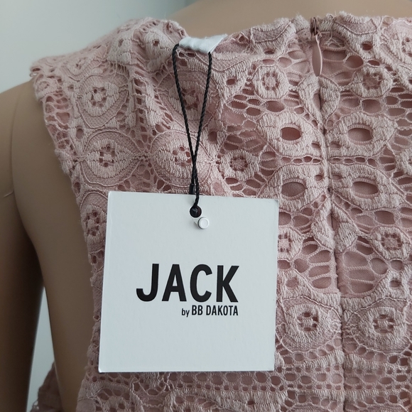 Jack by BB Dakota sheath dress pink lace sleeveless mauve rose cottagecore - Picture 11 of 16